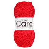 Cara Soft Acrylic Knitting Crochet Yarn SCYarn